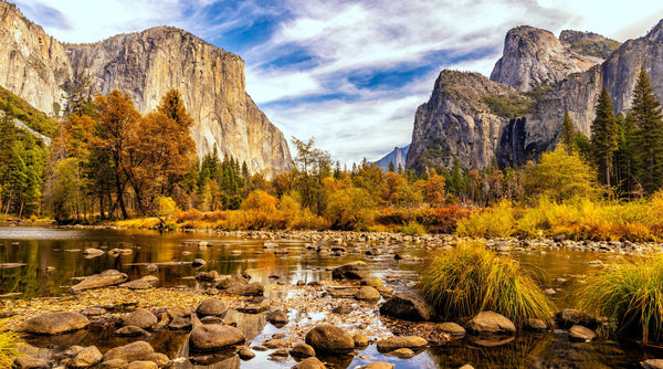 Best Northern California Fall Road Trips