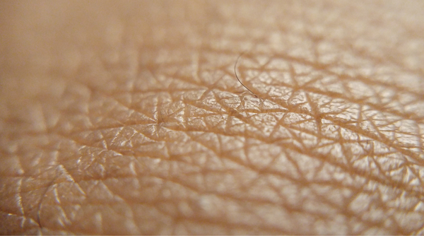 Is Your Skin Struggling? Your Skin Barrier Might Be to Blame.